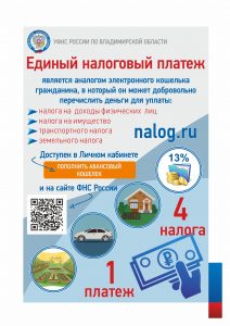 Владимир листовки ЕНП А5 80 гр 4 4 1000 экз