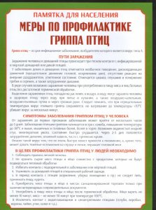 Памятка по Гриппу птиц