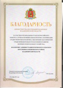 Благодарность за участие Лучшая муниципальная практика