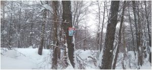 Патруль Гороховецкого района 2024 год_3