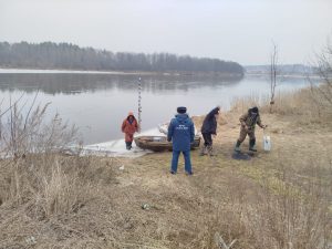 IMG-20250312-WA0005