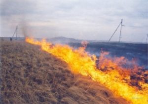 Пожары и ЛЭП
