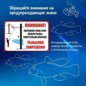 photo_2025-07-11_15-41-33