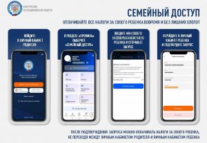 ЛК ФЛ семейный доступ